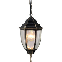 Arte Lamp PEGASUS, Светильник уличный архитектурный, цвет арматуры - ЧЕРНО-ЗОЛОТОЙ, цвет плафона/декора - ПРОЗРАЧНЫЙ, 1х60W E27, A3151SO-1BN