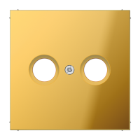 Крышка для телевизионной розетки; металл цвета золота, GO2990TV