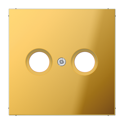 Крышка для телевизионной розетки; металл цвета золота, GO2990TV