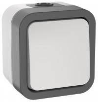 TORS Выключатель кнопочный 10А IP55 TS210 сер-бел IEK, TS-V14-0-10-55-K41 TORS Выключатель кнопочный 10А IP55 TS210 сер-бел IEK, TS-V14-0-10-55-K41