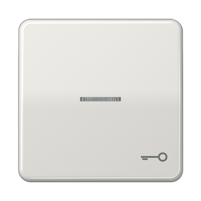 Клавиша с окошком и символом "ключ" для выключателей с подсветкой; светло-серая, CD590KO5TLG