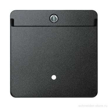 SM Накладка для выключ. "Hotelcard"арт.№ SCMTN3754-0000/3760-0000, антрацит