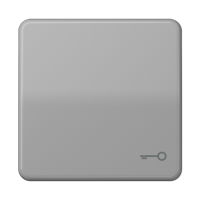 Клавиша с символом "ключ"; серая, CD590TGR