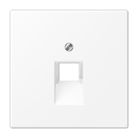 Плата (фиксация винтом) для одного модуля; термопласт; белый матовый, LS969-1UAWWM Плата (фиксация винтом) для одного модуля; термопласт; белый матовый, LS969-1UAWWM