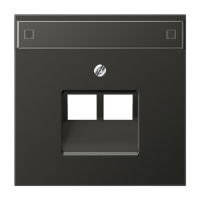 Крышка для сдвоенной телефонной и компютерной розетки UAE с полем для надписи; антрацит, AL2969-2NAUAAN Крышка для сдвоенной телефонной и компютерной розетки UAE с полем для надписи; антрацит, AL2969-2NAUAAN