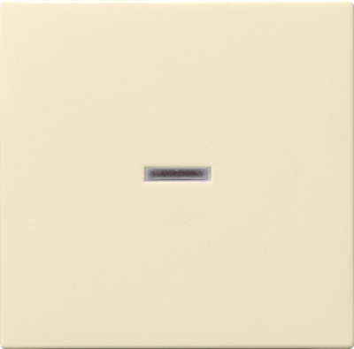 029001 Gira Клавиша с подсветкой