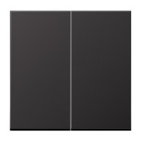 Клавиша для двойного выключателя; черный матовый, EP495SWM