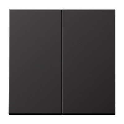 Клавиша для двойного выключателя; черный матовый, EP495SWM