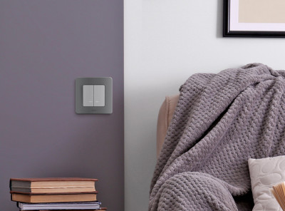 Legrand Выключатель двухклавишный с подсветкой/индикацией - Legrand Inspiria - 10А 250В безвинтовые зажимы - алюминий, 673632