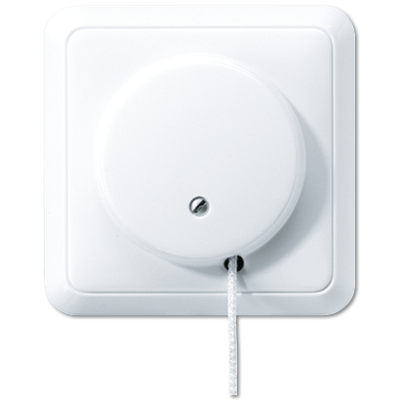 выключатель со шнурком, 5506ZUWW