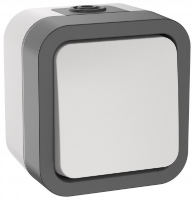 TORS Выключ. двухполюсный однокл. 10А IP55 TS211 сер-бел IEK, TS-V16-0-10-55-K41