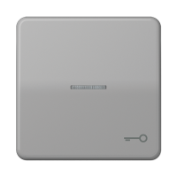 Клавиша с окошком и символом "ключ" для выключателей с подсветкой; серая, CD590KO5TGR Клавиша с окошком и символом "ключ" для выключателей с подсветкой; серая, CD590KO5TGR