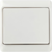 Berker Выключатель 1-клавишный, Выключатель 1-клавишный, серия Arsys