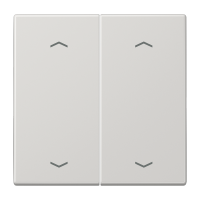 Клавиши для сдвоенной кнопки BCU; светло-серые, LS995MPLG