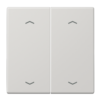 Клавиши для сдвоенной кнопки BCU; светло-серые, LS995MPLG