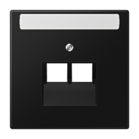 Плата (фиксация винтом) для двух модулей с полем для надписи; термопласт; черный матовый, LS969-2NAUASWM Плата (фиксация винтом) для двух модулей с полем для надписи; термопласт; черный матовый, LS969-2NAUASWM