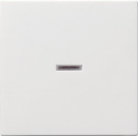 029003 Gira Клавиша с подсветкой