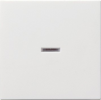 029003 Gira Клавиша с подсветкой