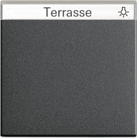 029928 Gira Клавиша с полем для надписи