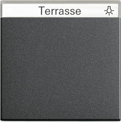 029928 Gira Клавиша с полем для надписи