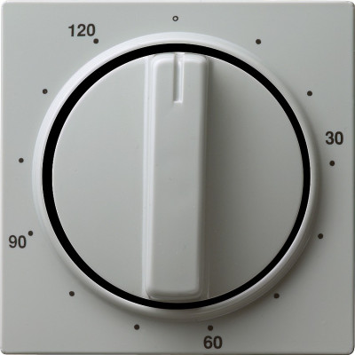 064242 Gira Накладка таймера 120 мин