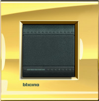 Выключатель 1-клавишный, вставка - антрацит, серия Living Light, цвет рамки золото