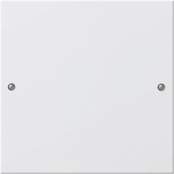 218103 Gira Комплект клавиш, 1 шт.