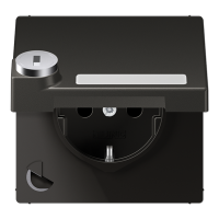 SCHUKO розетка с крышкой и полем для надписи, AL1520NAKLSLAN