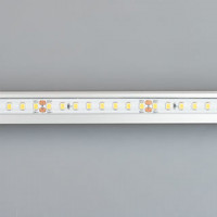 Светодиодная лента герметичная RTW-PR-A128-10mm 24V White6000 (9.6 W/m, IP66, 2835, 5m) (Arlight, 9.6 Вт/м, IP66), 038740
