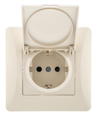 GUSI Ugra МЕХАНИЗМ Роз. 1-ой с/з с з/ш и крышкой, скрытая установка, 16А, 250В. Цвет бежевый., С11Р91-003