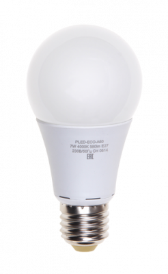 PLED- ECO- A60  7w E27 3000K 230V/50Hz  Jazzway, 1033178