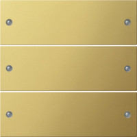 2133606 Gira Комплект клавиш, 3 шт. 2133606 Gira Комплект клавиш, 3 шт.