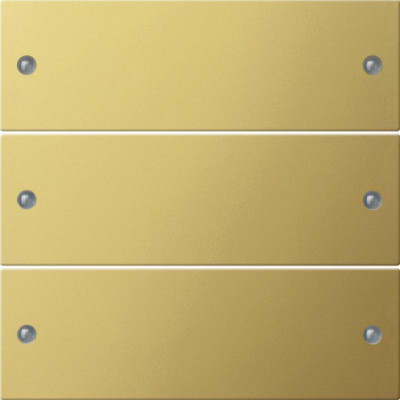 2133606 Gira Комплект клавиш, 3 шт.