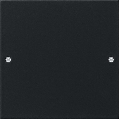 2181005 Gira Комплект клавиш, 1 шт.