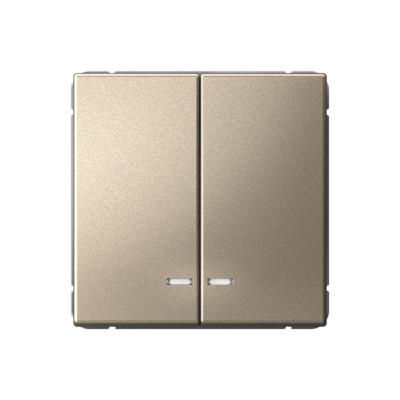 GAL000553 - ARTGALLERY 2-клавишный ВЫКЛЮЧАТЕЛЬ с подсветкой, сх.5а, 10АХ, механизм, ШАМПАНЬ, Systeme Electric