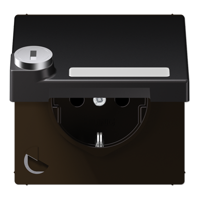 SCHUKO розетка с крышкой и полем для надписи, AL1520NAKLSLD