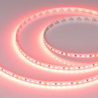 Лента RT-A120-8mm 24V Scarlet (9.6 W/m, IP20, 2835, 5m) (Arlight, -), 043383