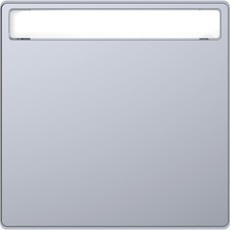 D-Life Клавиша 1-ная с полем для надписи, нерж. сталь