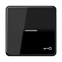 Клавиша с окошком и символом "ключ" для выключателей с подсветкой; черная, CD590KO5TSW Клавиша с окошком и символом "ключ" для выключателей с подсветкой; черная, CD590KO5TSW